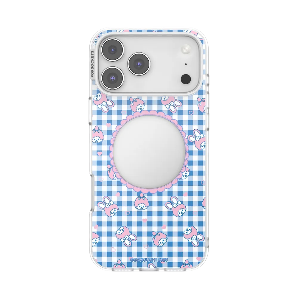 Framed — iPhone 17 Pro Max MagSafe Case