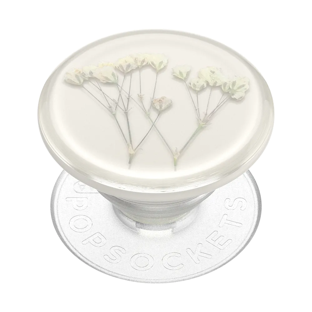 Pressed Flower Baby's Breath — Adhesive PopGrip
