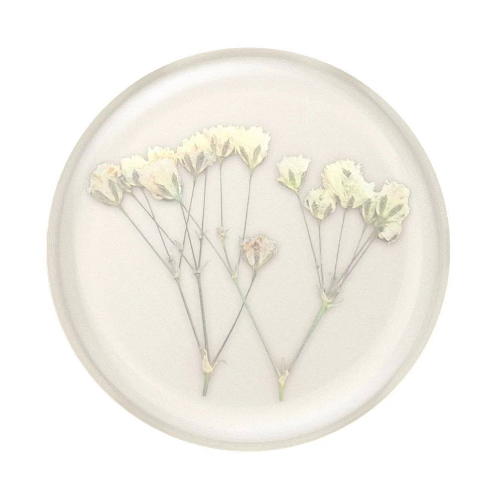 Pressed Flower Baby's Breath — Adhesive PopGrip