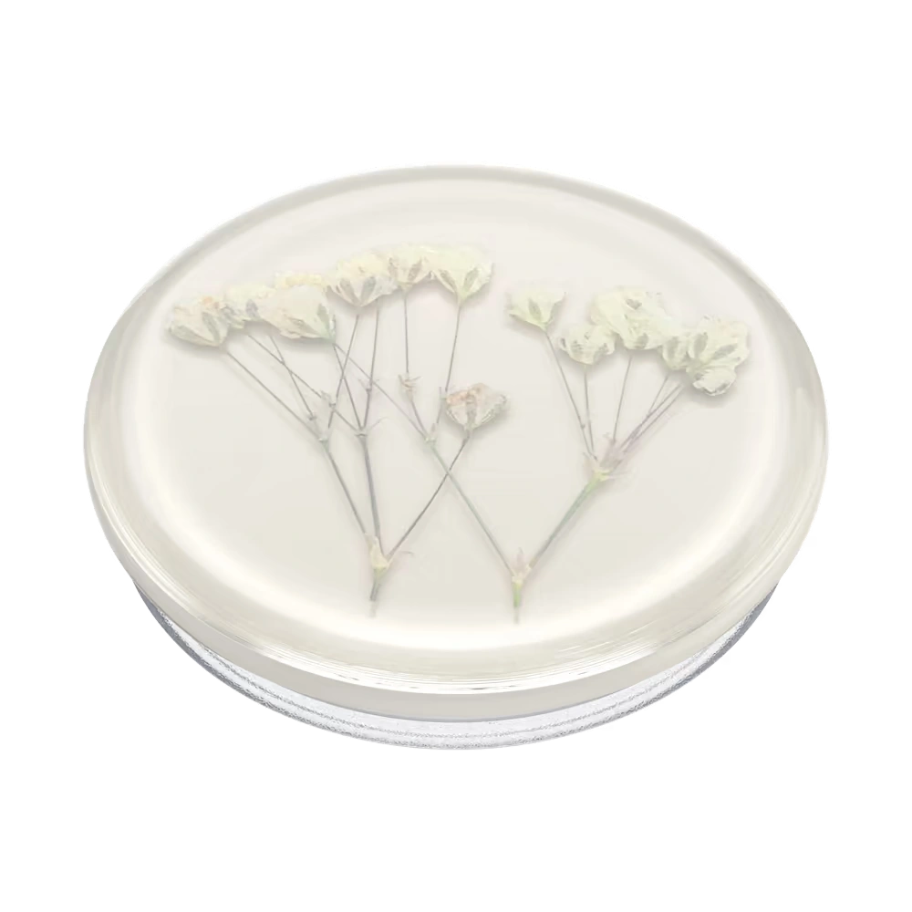 Pressed Flower Baby's Breath — Adhesive PopGrip 3 Pressed Flower Baby's Breath — Adhesive PopGrip