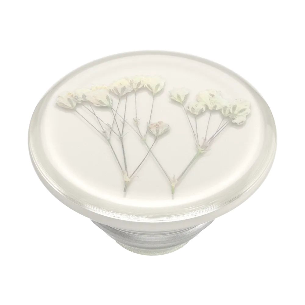 Pressed Flower Baby's Breath — Adhesive PopGrip 8 Pressed Flower Baby's Breath — Adhesive PopGrip