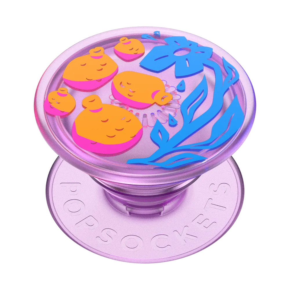 Pomello — Adhesive PopGrip 1 Pomello — Adhesive PopGrip