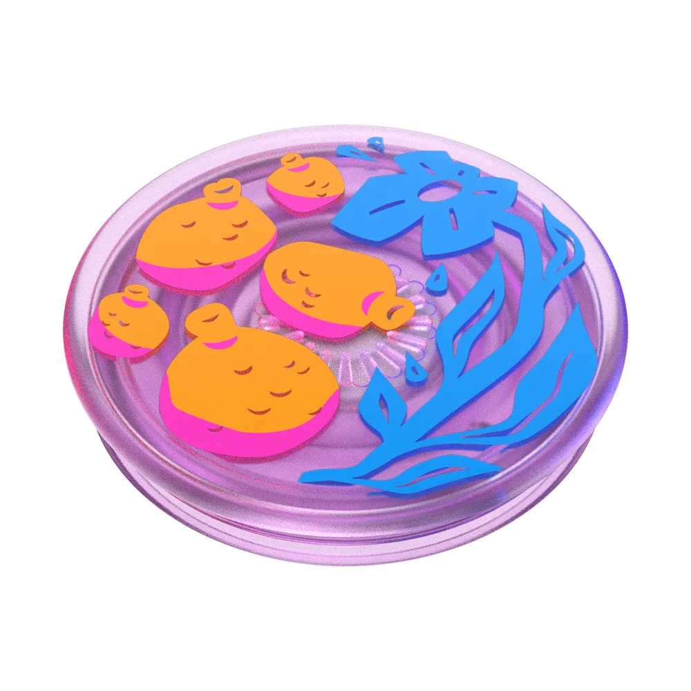 Pomello — Adhesive PopGrip 4 Pomello — Adhesive PopGrip