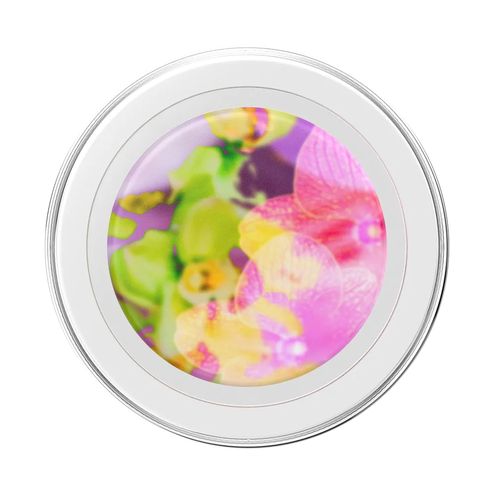 Collage Fleur — MagSafe PopGrip 2 Collage Fleur — MagSafe PopGrip