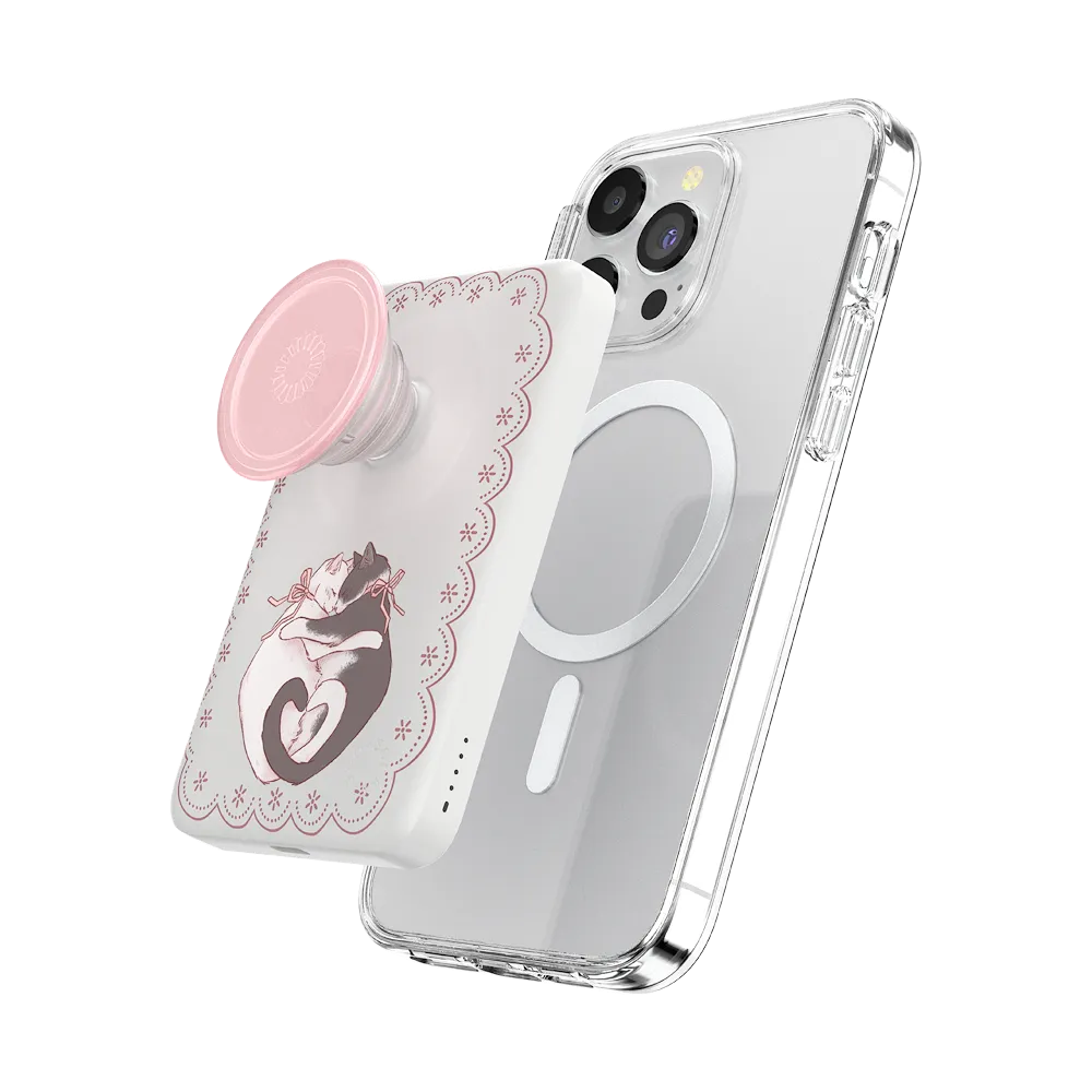 Cat Lovers — MagSafe PowerPack